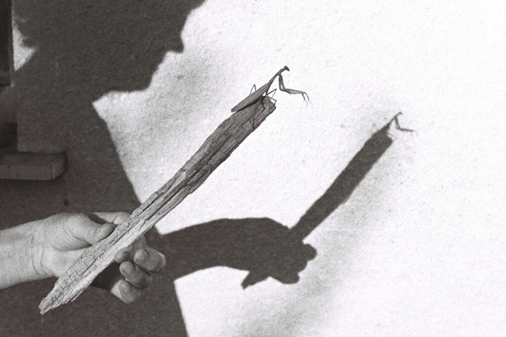 Oddaljena bližina. Foto: Ana Geršak