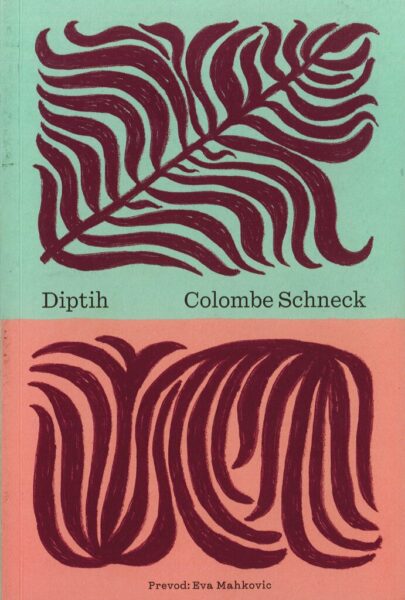 Colombe Schneck: Diptih (No!Press, 2024)